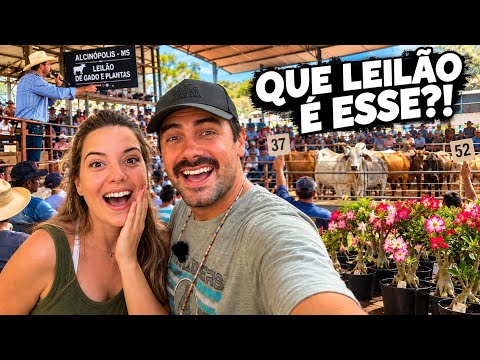 FOMOS PARAR NO MEIO DE UM LEILÃO NO MS