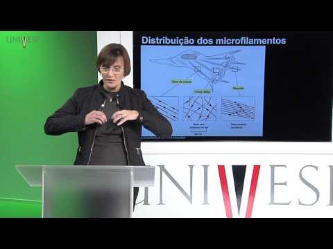 Cells and Tissues - Class 13 - Cytoskeleton