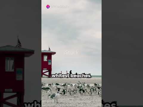 Why Sarasota is THE Best in Florida?