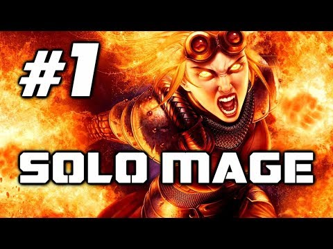 Divinity Original Sin 2: Mage solo Houndmaster, Kniles, High Judge (Honour Mode) - Part 1