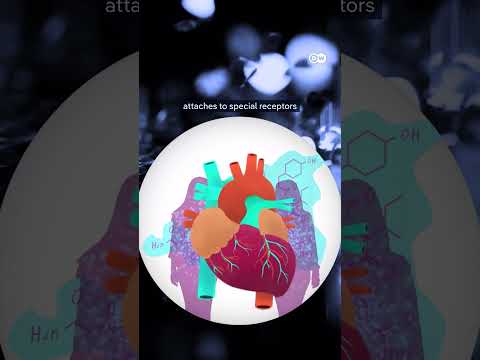 Stress And A Healthy Heart | Dw Documentary