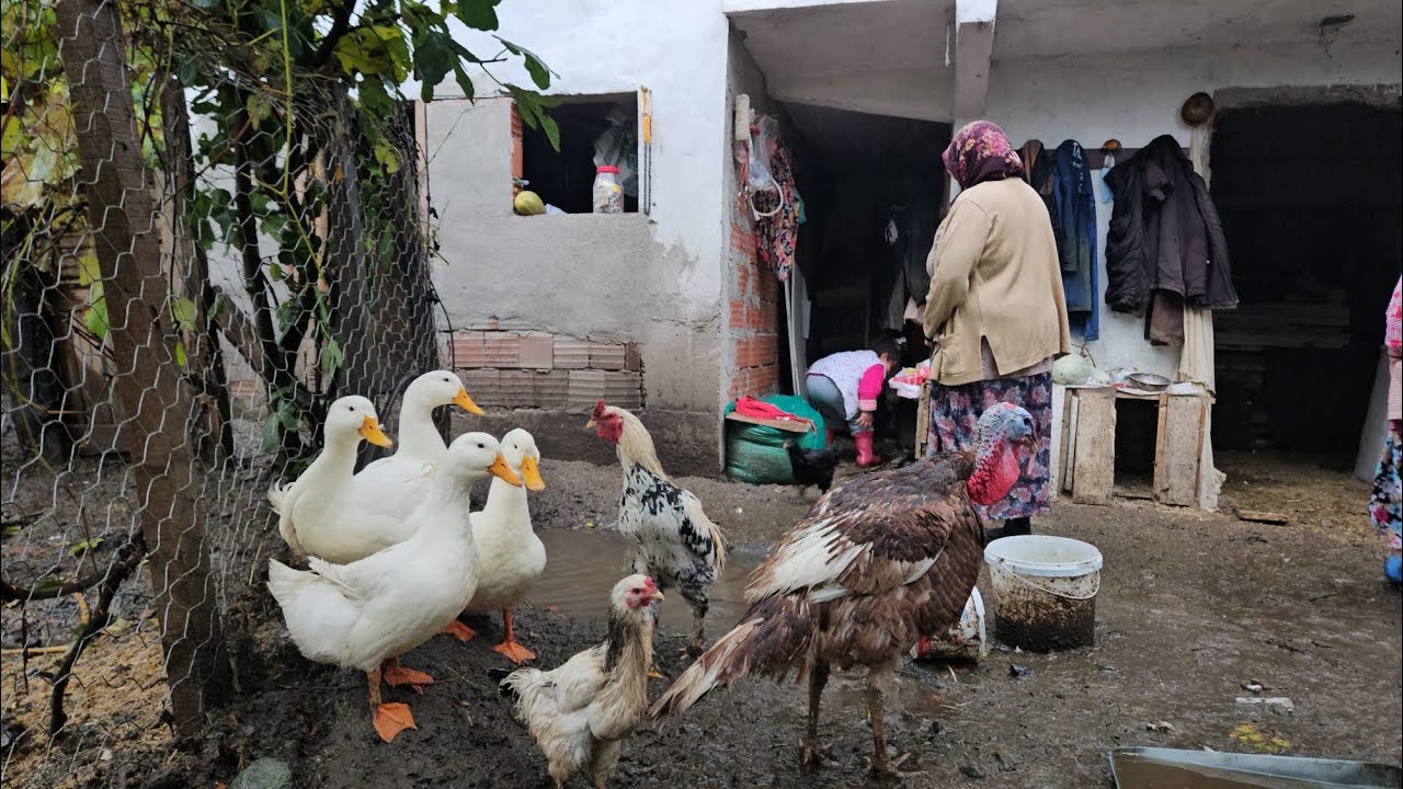 ŞİRİN BİZE ŞAKA MI YAPIYOR ACABA🤔