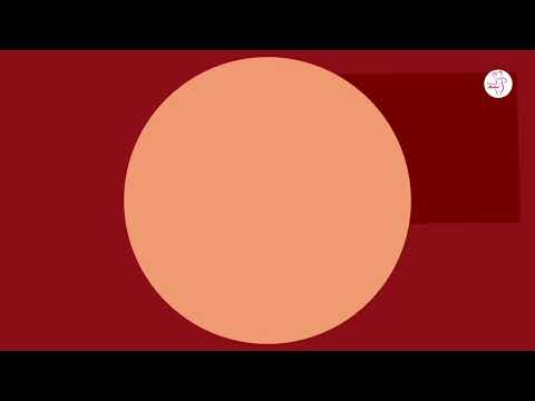 Lilli Luxe Wiki Biography,Age,Relationships,Net worth