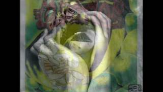 los lagartos no me tientes satan