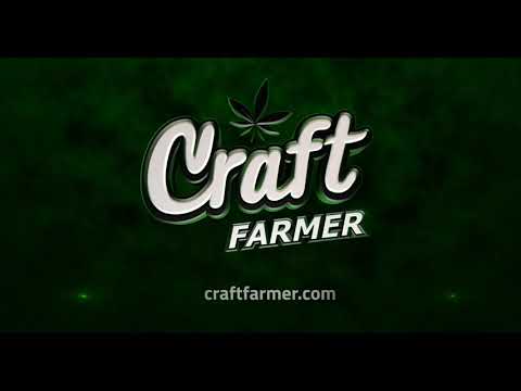 How do you handle Negativity?