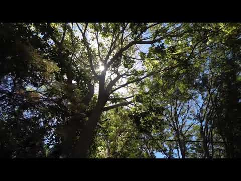 19 Woodlawn Avenue, Mangerton