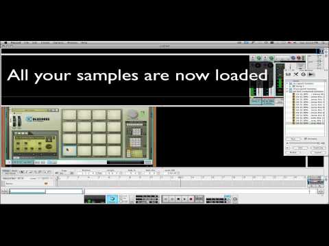 Chopping Samples Record Reason 5