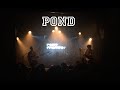 Pond - Giant Tortoise (Live, Paris, 2014) 