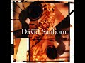 David Sanborn - Over and Over -1982