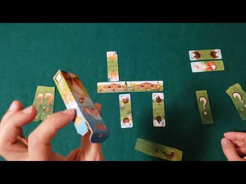 SLY - Unboxing and Quick Teach