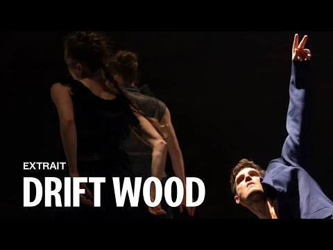 DRIFT WOOD by Imre & Marne van Opstal (Baptiste Bénière)