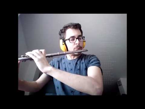 ANCHE SE NON TRAPPO - Amedeo Preziosi, Gabry Ponte e DJ Matrix (Flauto Cover) + NOTE