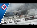 Intratuin Lisse jaar na grote brand weer open - OMROEP WEST