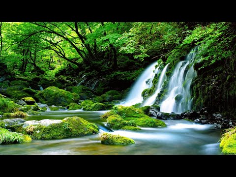 宫崎骏水晶音乐——适合放松、治愈的轻松轻音乐   缓解压力、冥想和日常正念的最佳平静音乐🎶Relaxing Piano Music