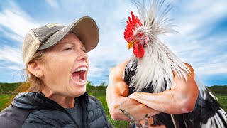 THIS is why we need a Rooster Flock