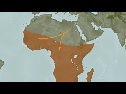My YDNA and MTDNA results from Living DNA Results Explained