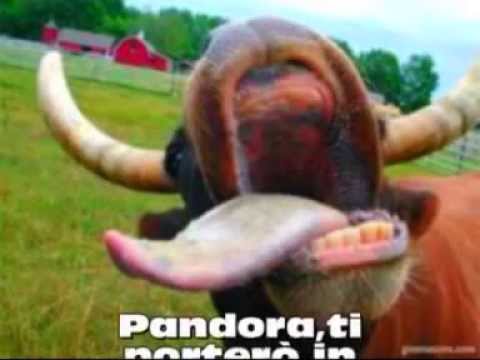 [SC] Pandora, parodia Gem Boy!! ;) + Testo.