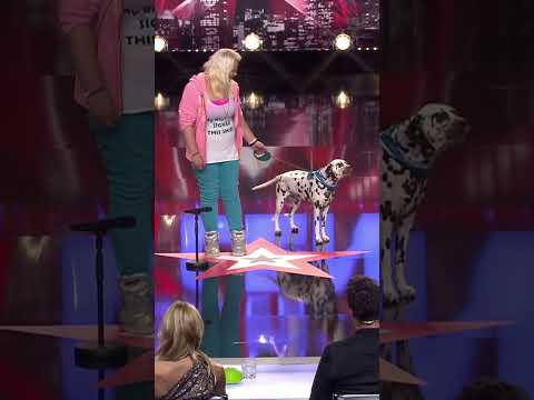 Video Thumbnail: #hund singt #musical  🎤 #dassupertalent #tanzdervampire