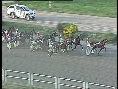 Trotto 27/11/2016 - 2ª corsa