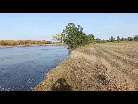 Wisełka i upalny wrzesień