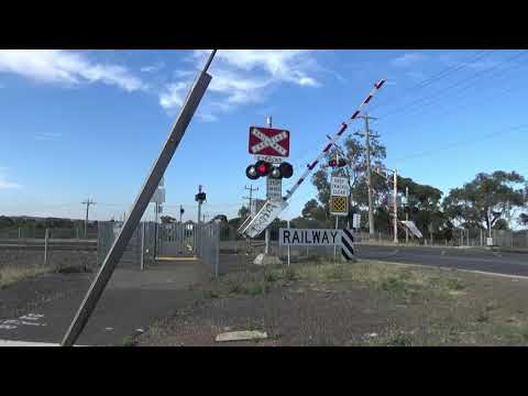 2AM8 OVERLAND With Loco Indian Pacific NR25
