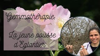 Click here to play the video