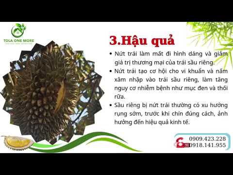 Cùng khám phá bộ sản phẩm "Chống nứt trái" Sầu Riêng của nhà One More