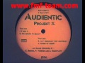 Audientic I Feel It 1996