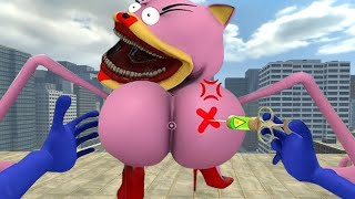 The cursed love story of Amy and the DRAGON BATTLE in the NEW SONIC TAPES in New York on Garry's Mod