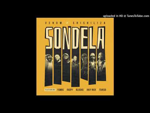 venom x shishiliza sondela (official audio)
