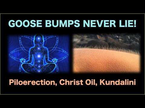 Kundalini Energy, Sacred Secretion and GOOSE BUMPS | Goose Bumps NEVER LIE! #goosebumps #awakening