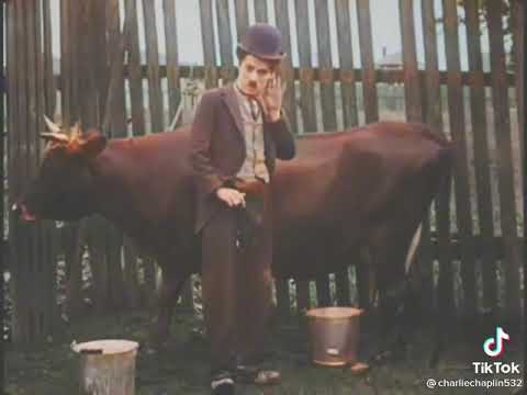 charlie Chaplin ✓ styles of milking a cow