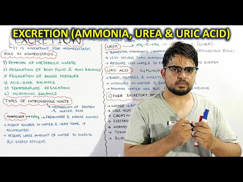 Excretion & its role in Homeostasis: Types of Nitrogenous wastes, Ammonia, Urea & Uric acid