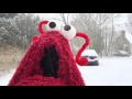 Yip Yip weather report for Massachusetts