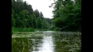preview picture of video 'The Czarna Hańcza River 2009'
