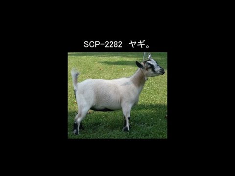 【ゆっくり朗読】　SCP-2282　ヤギ。　【SCP Foundation】