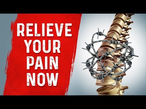 The Top SUPERFOODS for the Kidneys—Explained by Dr Berg