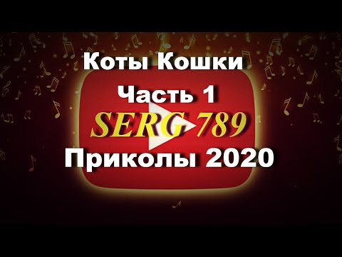 🔴Коты Кошки Приколы 2020(Часть 1)✅ 🙂 👍 🐱