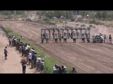 TOLDERO Club Hipico Añelo, Domingo 12 de enero 2025