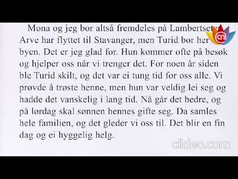 Norwegian Complete B1 listening practice ( Stein på SteinB1)