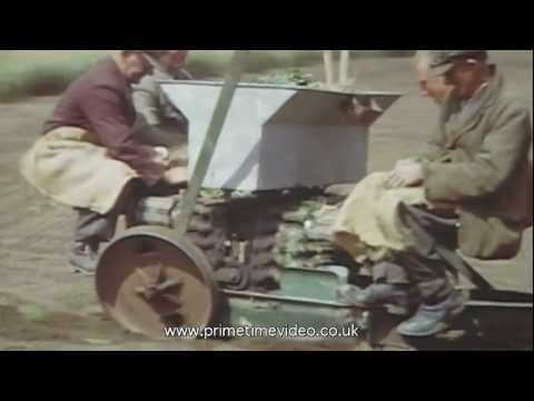 Archive farming in Downlands of Sussex - Tractors, Horses, Men and Machines at work