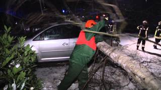 preview picture of video 'Sturmschaden in Achim - Baum fällt auf Auto'