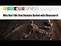 Why Don’t We Find Humans Buried with Dinosaurs?