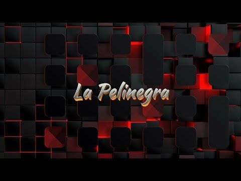 La Pelinegra - La Adictiva Ft Gabito Ballesteros [Lyric Video]