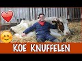 Floris krijgt de beste knuffels van een koe Jansje | DierenpraatTV