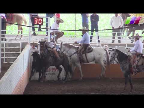DLM281 Bloque 3 - 5 IX Campeonato Hacienda Serena Arena Vallarta 2020 All Horses Máquina 501, CDMX