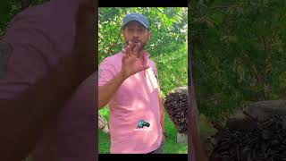 Download lagu Das e Basi | A Peaceful Mountain Escape 🏔️🌿 mp3