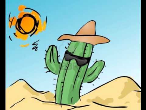 Sommer Sonne Kaktus video