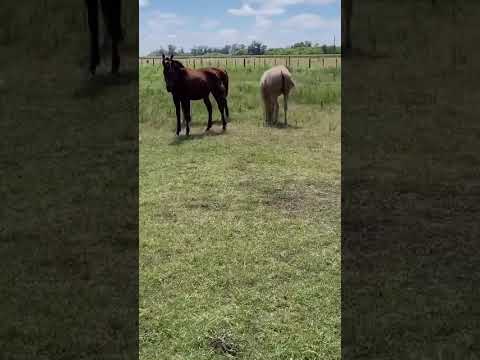 São Miguel del Monte Buenos Aires 🇦🇷💙