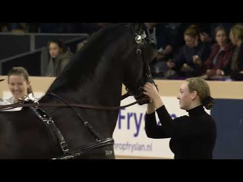 HK 2023 | Horses2Fly KFPS Sportcompetitie Tuigen | Deel 3